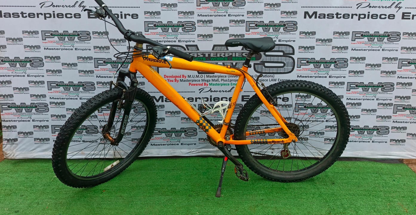 Orange MTB Bike